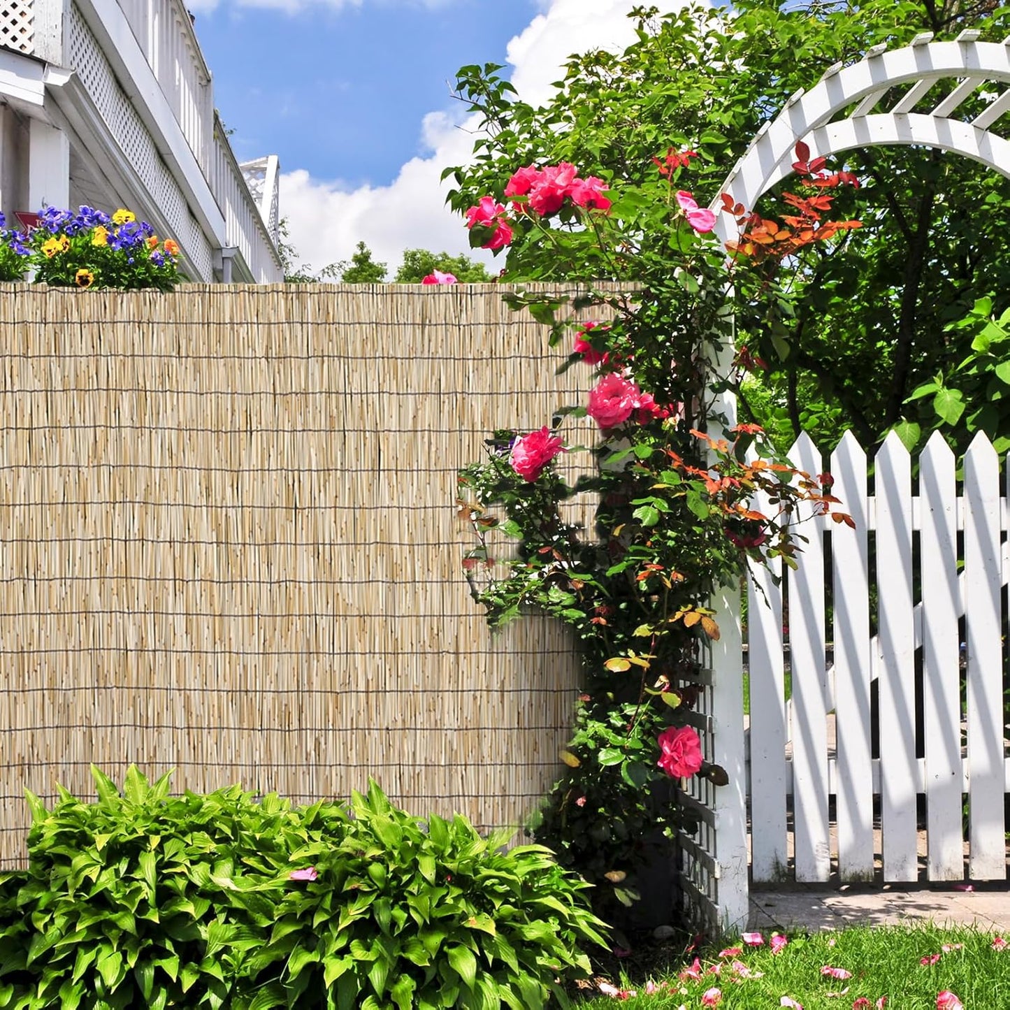 Natural 2 Pack 4FT X 16.4FT Reed Fencing Roll, Balcony Privacy Shade Reed Bamboo Fencing Garden Fence Border, Wind Block Sunshade Fence Screen for Outdoor Yard Patio Flower Bed Edge