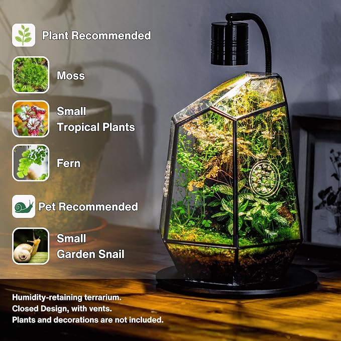 NCYP Closed Geometric Glass Enclosure with Front Opening Door & 2 Vent Holes for Insects, Snail, Moss, Fern - 7.9"x6.9"x9.8" Black Irregular Terrarium - Home Garden Tabletop Decor (No Plants)