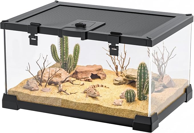 2.5 Gallon Fully Assembled Glass Reptile Enclosure, 12" x 8" x 6" | Small Reptile Terrarium Tank for Tiny Terrestrial Reptiles, Amphibians & Invertebrates