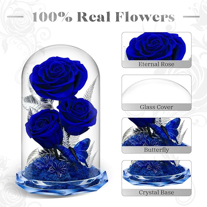 Preserved Rose in Glass Dome - Forever Flowers for Women, Mom, Wife - Birthday, Anniversary, Valentine's - Fresh Flowers for Delivery Prime (Blue)