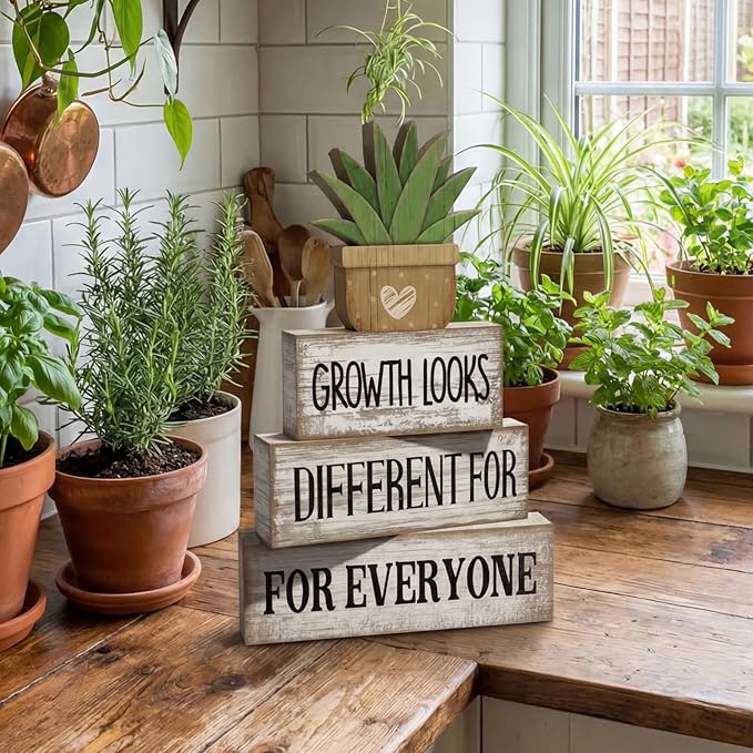 Lineshading 4 Pcs Inspirational Farmhouse Table Decor Growth Looks Different for Everyone Rustic Stacked Wooden Block Signs with Inspirational Quote Artificial Succulent for Home, Office, Shelf Gift