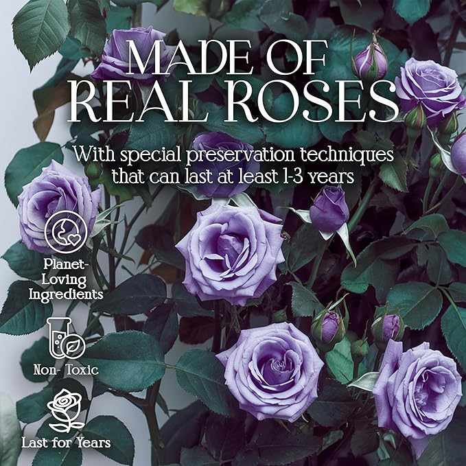 GLAMOUR BOUTIQUE Preserved Roses in a Box - Gifts for Her, Wife & Mom, Rose Flowers Forever Decor for Birthday Gift, Get Well Flower Bouquet Cased in White Box with Cover - Purple - 16 (Color-Treated)
