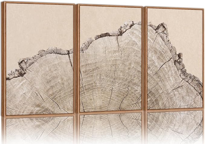 SIGNINART Large Tree Ring Framed Canvas Wall Art Set, Rustic Beige Nature Wooden Wall Decor, Neutral Wood Stump Artwork, Modern Art Prints for Bedroom Living Room Office 16"x24"x3