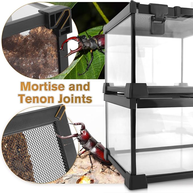 Mini Reptile Glass Terrarium Vivarium 8'' x 8'' x 6'', Full View Tank for Small Arthropod Pets Such as Pumpkin Patch Tarantulas, with Feeding Slot & Box Lock Buckle