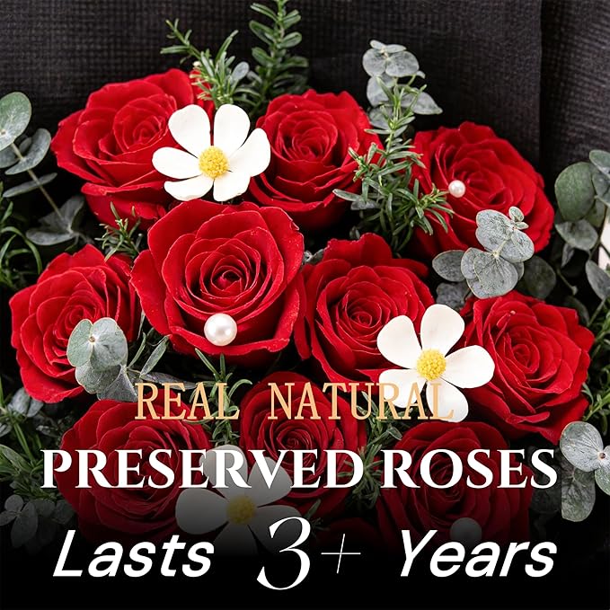 XTYFJGVA 12 Preserved Red Roses Bouquet, Flowers for Delivery, Real Roses That Last 1-3 Years, Birthday Gifts for Women, Forever Flower Gifts for Mom, Wife, Grandma, Her on Mothers Day, Anniversary