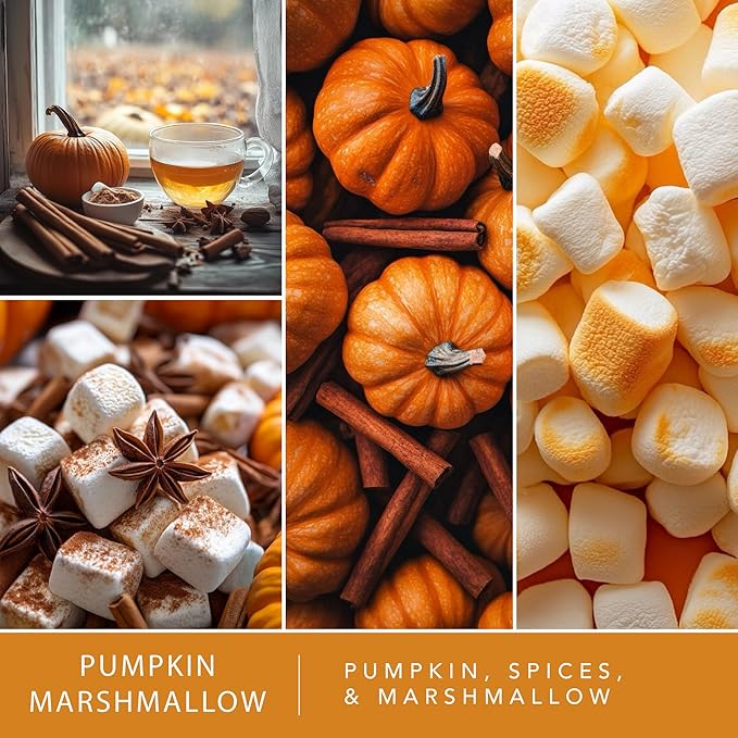 Scentsationals Pumpkin Marshmallow Scented Wax Melts - Pumpkin, Spices, & Marshmallow, 10oz (24 Cubes)
