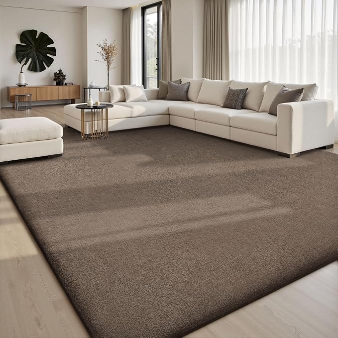 Sour Lemon 9x12 Area Rugs for Living Room, Soft Large Area Rug Fluffy Rugs for Bedroom，Machine Washable Area Rug Non Slip Carpet Rug for Living Room Playroom Kids Room Home Decor