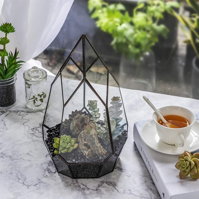 NCYP No Door Glass Geometric Terrarium Planter for Succulent Plants, Fern, Balcony Display Pot - Black Miniature Botanical Garden, Large (Terrarium Only) 12.2" Height, 7.1" Width