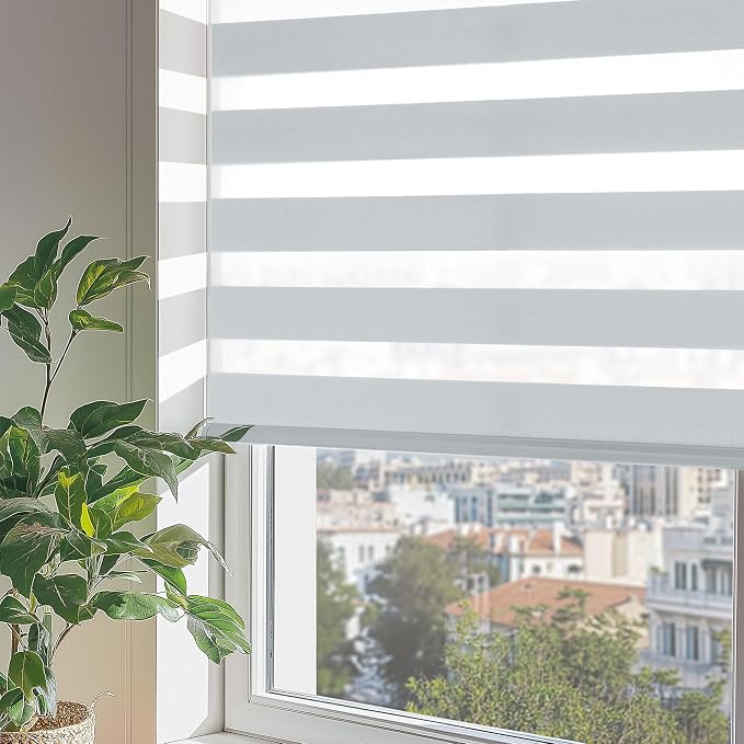 ChrisDowa Cordless Zebra Blinds for Windows, Dual Layer Free-Stop Light Filtering Window Roller Shades, Pull Down Privacy Zebra Shades for Home, Office, Bedroom, Door (29" W x 72" H, Light Grey)