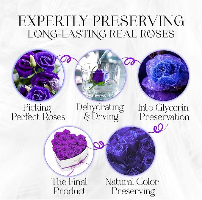 GLAMOUR BOUTIQUE Preserved Roses in a Box - Gifts for Her, Wife & Mom, Rose Flowers Forever Decor for Birthday Gift, Get Well Flower Bouquet Cased in White Box with Cover - Purple - 16 (Color-Treated)