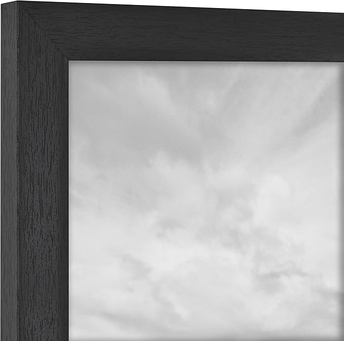 MCS Studio Gallery Frame, Black Woodgrain, 8 x 10 in, Single (Pack of 2)