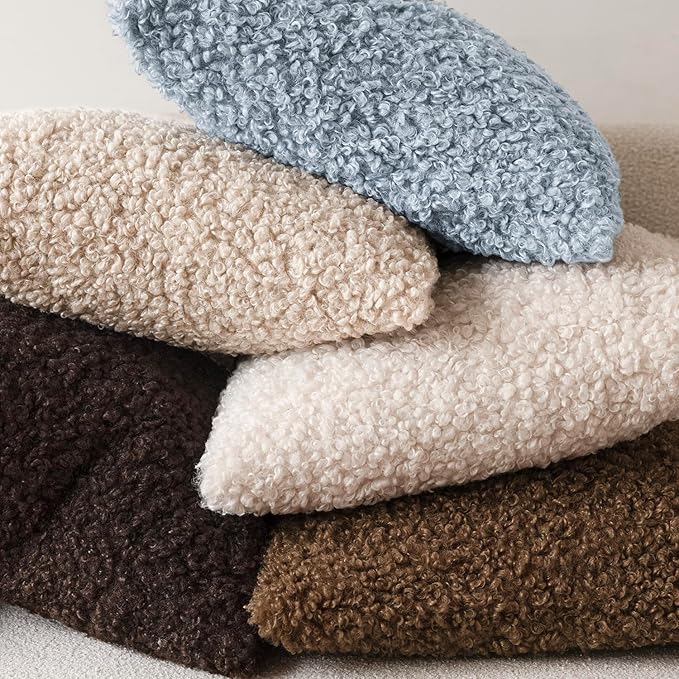 Foindtower Set of 2 Curly Teddy Wool Pillow Covers Decorative Boucle Textured Lumbar Throw Pillow Faux Fur Sherpa Pillowcases Sheepskin Fuzzy Cushion Case for Sofa Bedroom Car 12"x20" Misty Blue