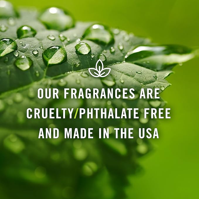 P&J Trading Fragrance | Coffee Oil 30ml - Candle Scents for Candle Making, Freshie Scent, Soap Making Supplies, Diffuser Oil Scents