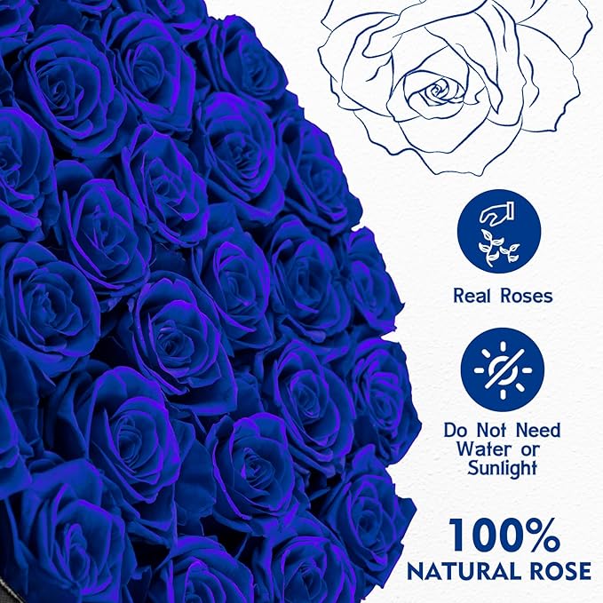 Impouo Forever Flowers, 27 Roses in A Box, Real Preserved Roses, Birthday Gift for Women, Mother's Day, Anniversary Blue Rose