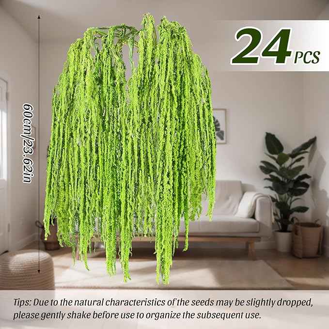 Suncalla 24 Pcs Green Spring Natural Dried Amaranthus Hanging Flowers Amaranthus Artificial Flowers for Wedding Arch Bouquet Floral Garland Wall Home Decoration (23 Inch)
