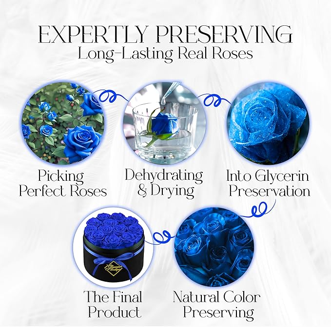GLAMOUR BOUTIQUE Flowers Forever Gift Box, 12 Real Preserved Roses in Velvet Black Box, Floral Gift for Wife, Mom or Her for Birthday, Mother’s Day, Anniversary or Graduation, Blue (Color-Treated)
