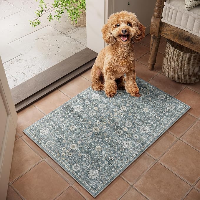 Machine Washable Entryway Small Area Rugs: Soft Non-Slip Low Pile Door Mat Indoor Entrance 2x3 ThrowRug for High-Traffic Areas Kitchen, Hallway, Farmhouse Decor