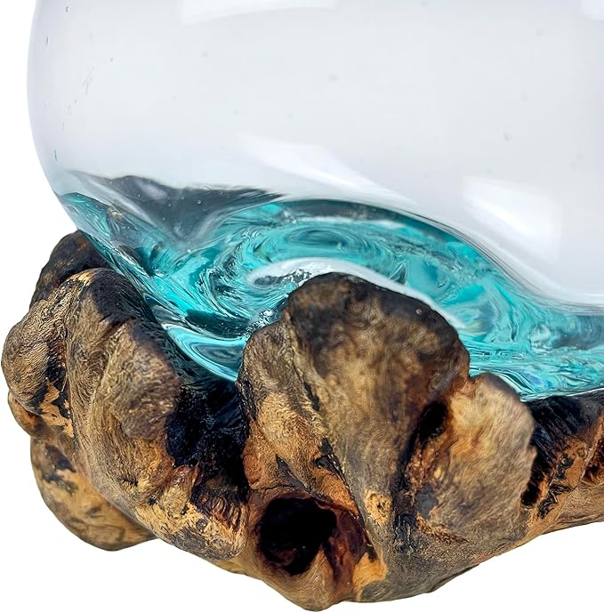 Decorative Vase, 5 Inch Melted Glass on Gamal Root Wood | Clear Bowl Shaped Over Organic Base, Each Piece Varies, For Succulents, Air Plants, Terrariums