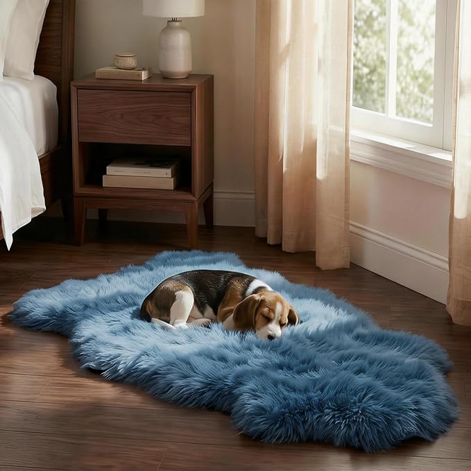 Premium Genuine Sheepskin Area Ruge - Real Wool Fur Shaggy Carpet | Fluffy Soft Natural Lambskin Rug Seat Chair Covers for Couch Sofa Bedroom Living Room(Dusty Blue,2×3 Feet Sheepskin)