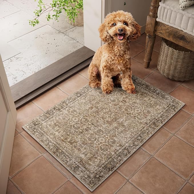 Machine Washable Entryway Small Area Rugs: Soft Non-Slip Low Pile Door Mat Indoor Entrance 2x3 ThrowRug for High-Traffic Areas Kitchen, Hallway, Farmhouse Decor
