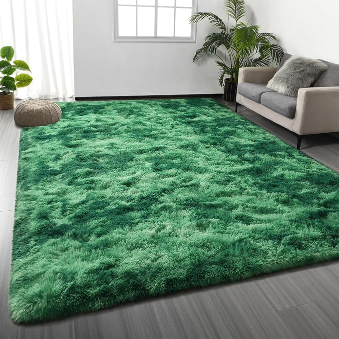 Deerhoo Shag Area Rug, 4 X 6 Tie-Dyed Plush Fuzzy Rugs for Living Room, Ultra Soft Fluffy Furry Rug for Bedroom, Indoor Carpet Nursery Rugs for Kids Room Home Decor, Tie-Dyed Emerald Green