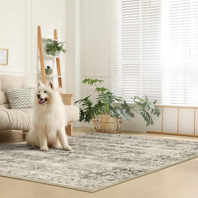 Lahome Margot Washable Rugs 5x7 Boho Living Room Area Rug,Soft Throw Bedroom Area Rug,Retro Distressed Non-Slip Low-Pile Accent Rug Indoor Carpet for Entryway Office Home Decor(5 x 7,Beige)