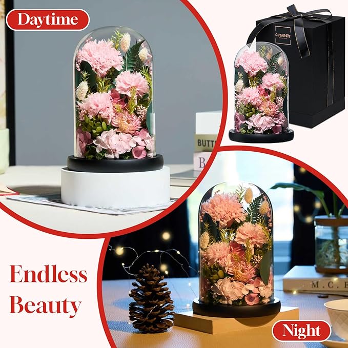 Preserved Roses,Forever Fresh Flowers 7.48in,Gift for Women,Mom,Grandma,Wife,Girlfriend,Sister,and Daughter Perfect for Birthday,Mother’s Day,Valentine’s Day (Thankful Pink3)
