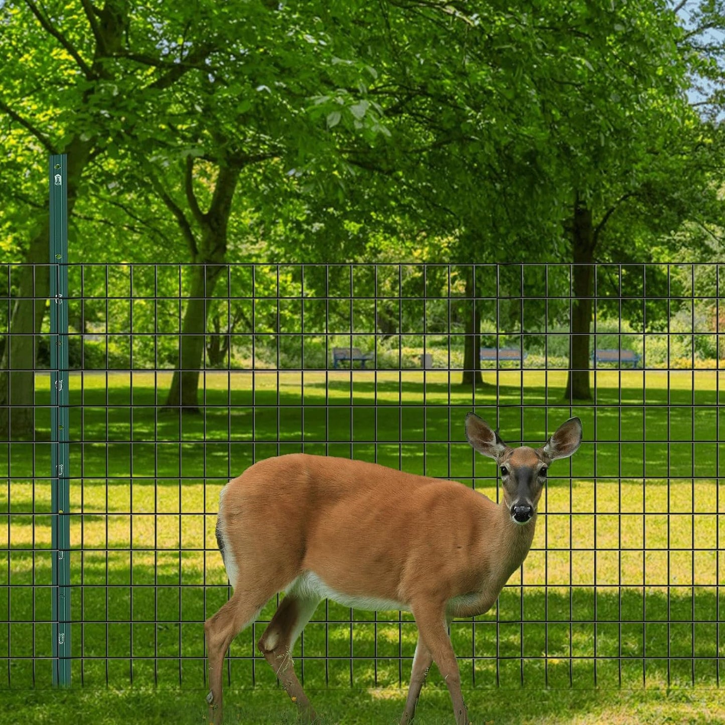 Welded Wire Fence, 50ft(L) x 48inch(H) Garden Fence for Dog, 2 Inch x 3 Inch 16GA Fencing for Chicken, PVC Coated Anti-Rust Roll Metal Wire Mesh Fence for Yard Vegetable, Black