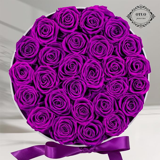 27 Piece Preserved Roses in a Box - Forever Flowers for Delivery Prime, Eternal Roses Mothers Gifts for Mom, Valentine's Day, Wife Anniversary Birthday Gifts for Women(Purple)