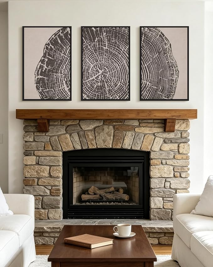 PHOPAGO Vintage Tree Rings Wood Framed Wall Art Large 16x24in Modern Retro Rustic Wood Stump Wall Decor Nature Farmhouse Art Prints Bedroom Living Room Home Decor- Black Framed