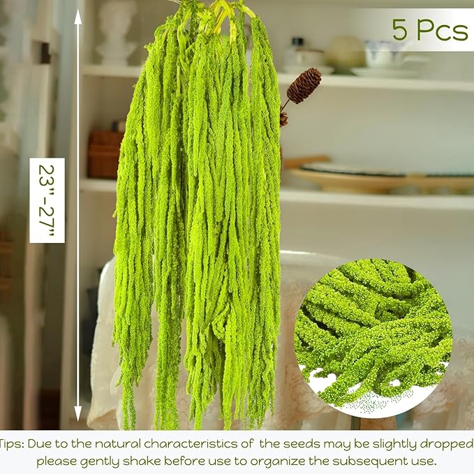 5Pcs Dried Amaranthus Hanging Flowers - 100% Natural 23“ Neon Green Preserved Amaranthus Flowers for Wedding Arch, Floral Arrangment, Wall Hanging