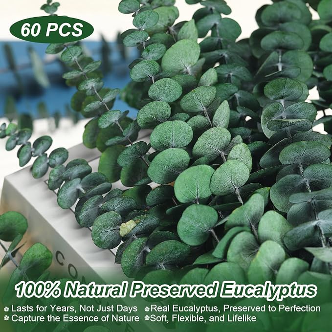 60 Stems Preserved Real Eucalyptus Bunches, Lifelike Natural Green Eucalyptus Leaves for Shower, Maintenance-Free Dried Florals for Vase Fillers, Wedding Centerpieces, Bathroom Home Office Decor
