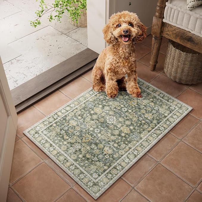 Machine Washable Entryway Small Area Rugs: Soft Non-Slip Low Pile Door Mat Indoor Entrance 2x3 ThrowRug for High-Traffic Areas Kitchen, Hallway, Farmhouse Decor