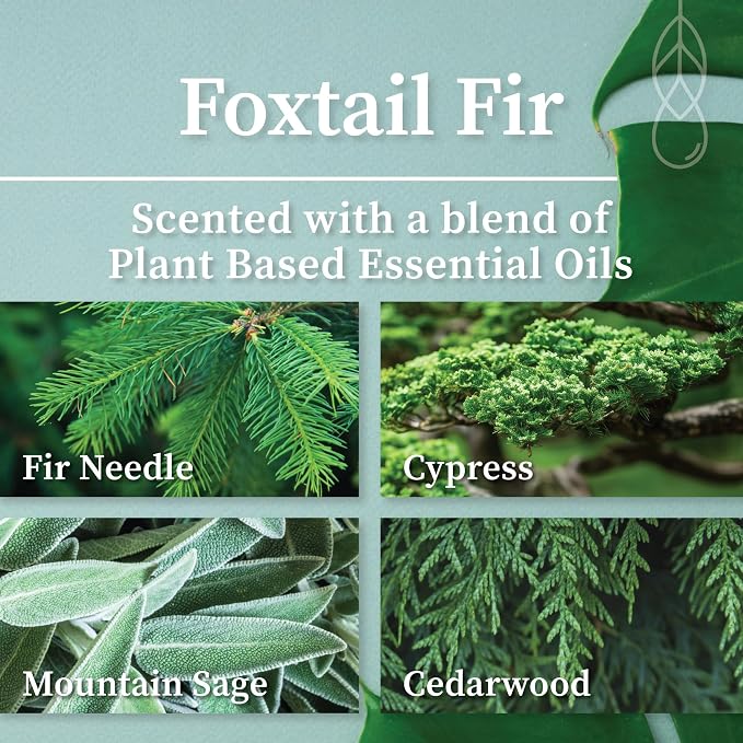 Hemlock Park Foxtail Fir Apothecary Scented Candle | Crackling Wood Wick, Botanical Fragrance & Coconut Apricot Wax | Up to 60 Hour Burn Time | 8 oz | Made in USA