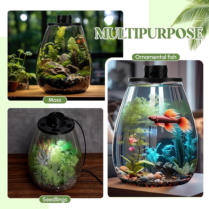 Maxdot Glass Plant Terrarium Kit with LED Grow Light, Desk Terrarium for Venus Fly Trap, Succulents, Moss & Miniature Garden, Borosilicate Glass Desktop Planter for Home Office(6.9 x 7.8 Inch)
