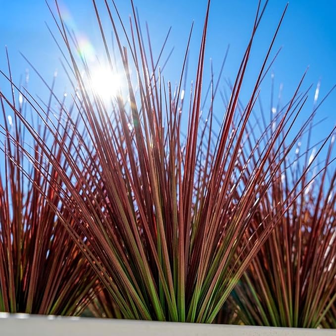 24 Bundles Red Artificial Plants Onion Grass Outdoor 20 Inch Fake Shrubs Wheat Grass UV Resistant Autumn Greenery Stems Faux Bushes Plant for Indoor Home Farmhouse Summer Decor