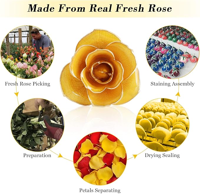 Ejoyous 24K Gold Dipped Real Rose w/Rose Stand Forever Blooming Yellow Golden Rose Her on Christmas Birthday Proposal Valentines Day Wedding Anniversary, Yellow with Stand