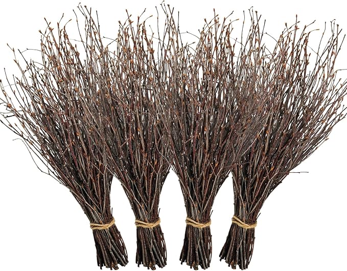 200 Pcs Real Dried Birch Branches, 17 Inch Natural Birch Twigs Tall Birch Tree Sticks for Decorative Vases, Crafts, DIY Floral Arrangements Wreath Wedding Centerpiece Home Decor