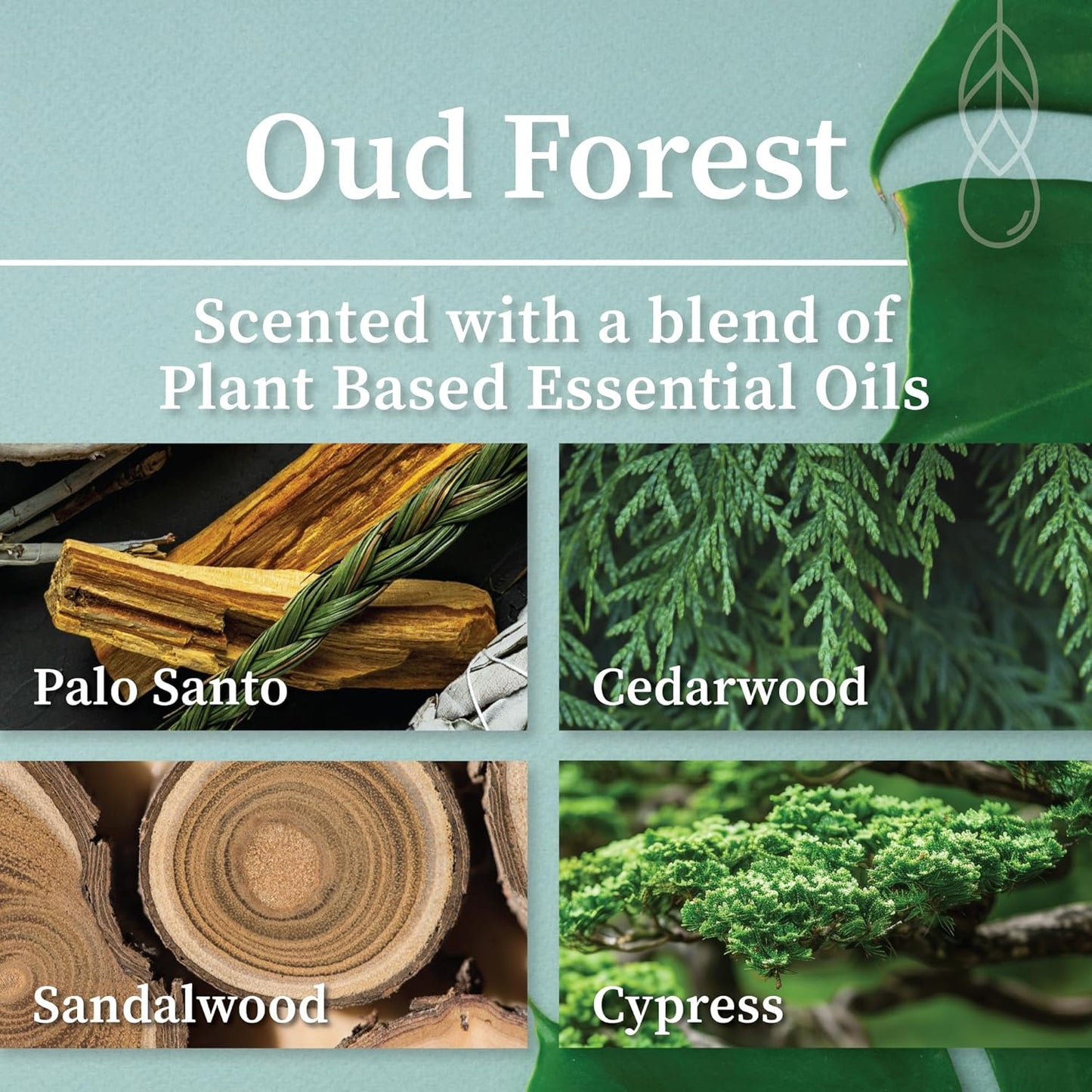 Hemlock Park Wood Wick Candle Handcrafted with Natural Coconut Wax and Essential Oils (Amber & Gold 7.2 oz, Oud Forest)