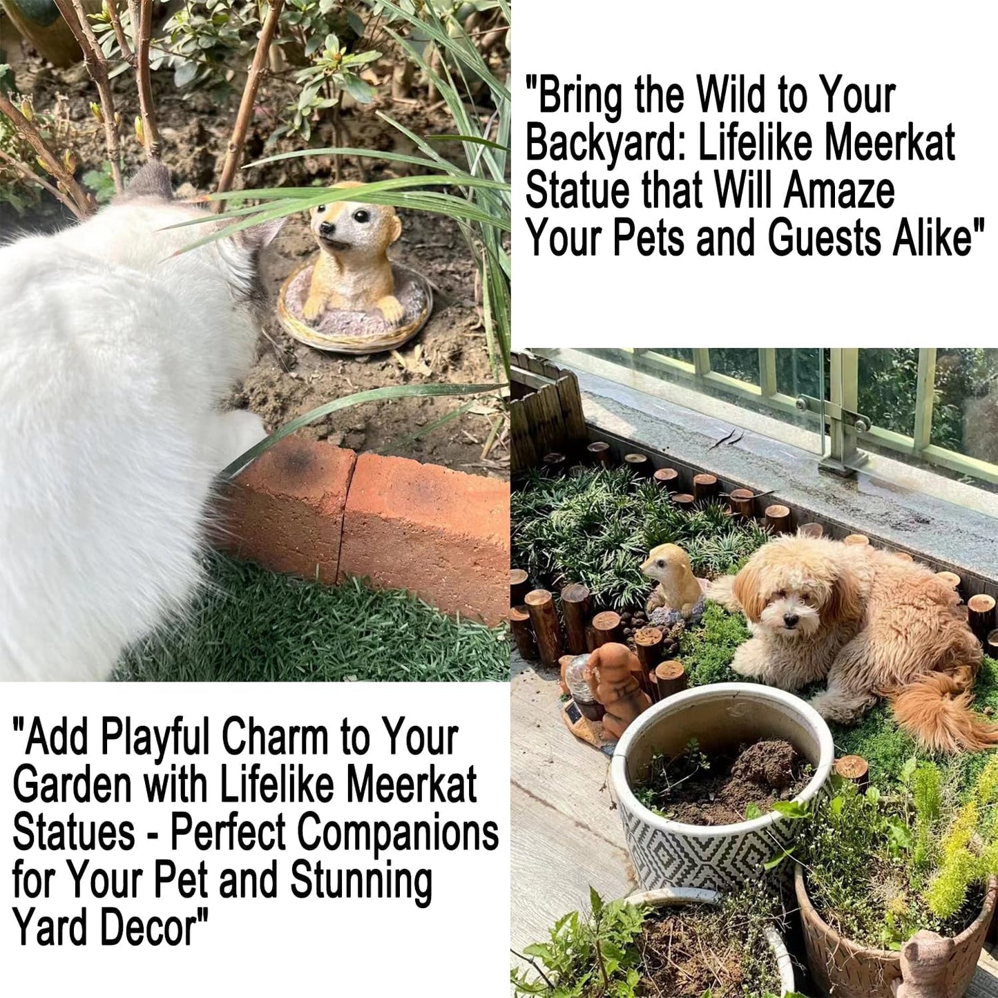 Meerkat Statue - Charming Meerkat Garden Animal Statue: Lifelike Decor Accent for Your Yard or Patio - Add Personality to Your Outdoor Space
