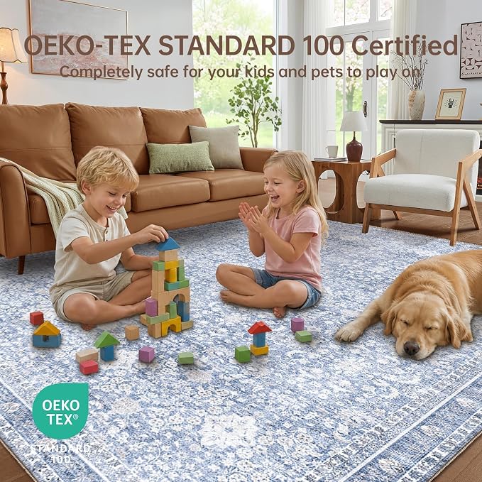 Sasttie 9x12 Area Rug, Ultra-Soft Washable Rug, Low Pile Foldable Thin Carpets with Non-Slip Backing, Skin-Friendly Stain Resistant Carpet for Living Room, Bedroom, Kitchen, Dorm, 9x12, Light Blue