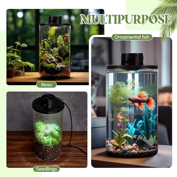 Maxdot Glass Plant Terrarium Kit with LED Grow Light, Desk Terrarium for Venus Fly Trap, Succulents, Moss & Miniature Garden, Borosilicate Glass Desktop Planter for Home Office(7.9 x 3.9 Inch)