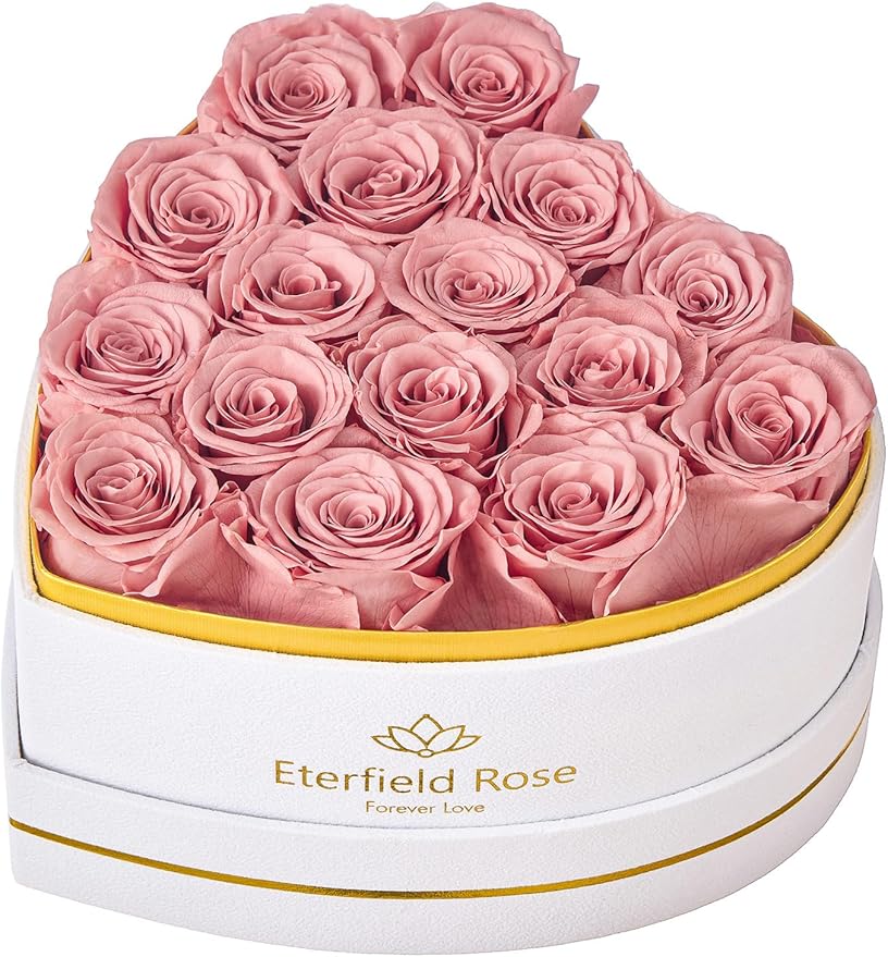 Eterfield 16 Forever Flowers in Heart Shape Box, Preserved Roses That Last a Year Preserved Flowers Birthday Gifts for Her Mom Women Wife Anniversary Valentine's Day Mother's Day, Dusty Pink
