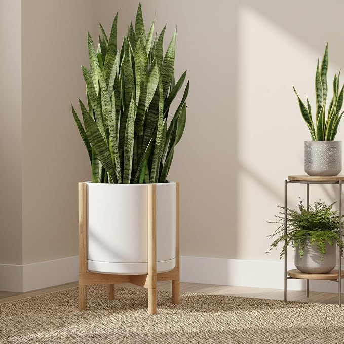 D'vine Dev Ceramic Planter with Natural Stand - 14 Inch Modern Round Flower Pot with Wood Planter Holder, White, 55-B-R-1