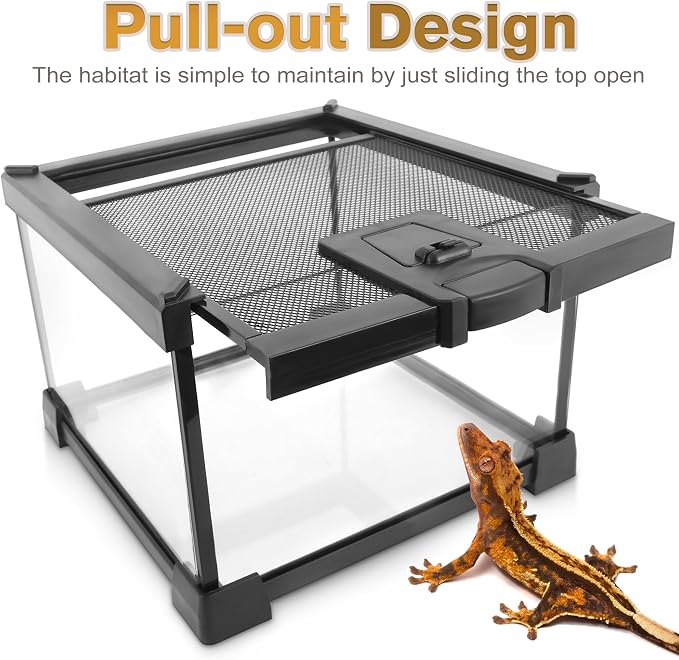 Mini Reptile Glass Terrarium Vivarium 8'' x 8'' x 6'', Full View Tank for Small Arthropod Pets Such as Pumpkin Patch Tarantulas, with Feeding Slot & Box Lock Buckle