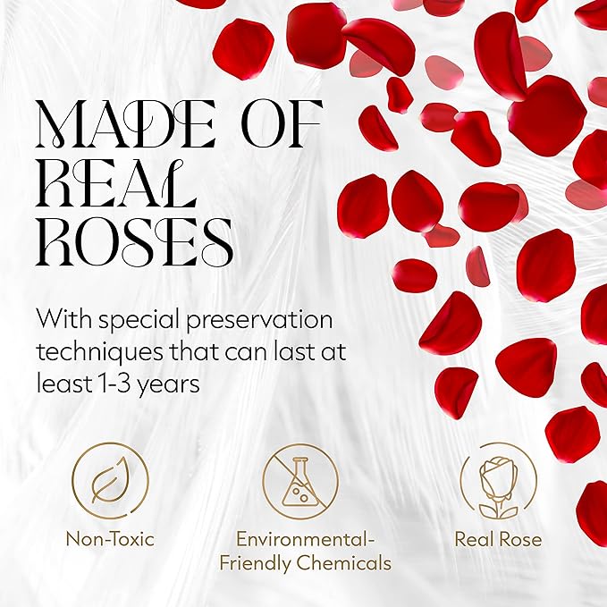 GLAMOUR BOUTIQUE Flowers Forever Gift Box, 12 Real Preserved Roses in Velvet Box, Floral Gift for Her, Mom or Wife for Birthday, Mother’s Day, Anniversary or Graduation, Red (Color-Treated)