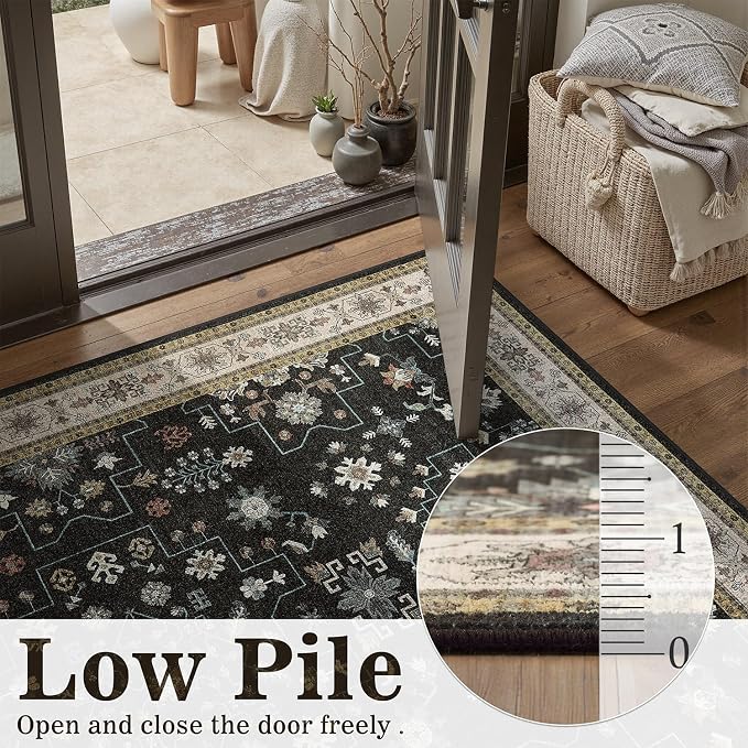 DCX Machine Washable Black Area Rug 9x12, Non Slip Stain Resistant Vintage Area Rug for Living Room Diningroom Bedroom Nursery, Soft Low Pile Large Carpet
