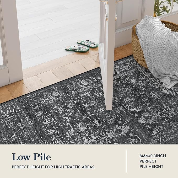 Lahome Margot Washable Black 4x6 Area Rugs for Living Room Bedroom, Boho Vintage Non Slip Stain Resistant Floor Dining Room Carpet for Office Entrance Decor
