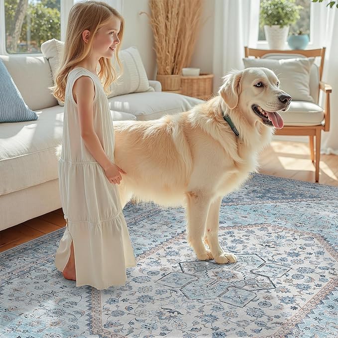 DCX Blue 5x7 Rug, Machine Washable Stain Resistant Kid & Pet Friendly with Rubber Back Non Slip Vintage Rug for Living Room, Bedroom, Home Office, Soft Low Pile Large Carpet