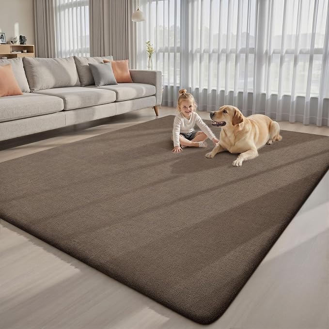 Sour Lemon 9x12 Area Rugs for Living Room, Soft Large Area Rug Fluffy Rugs for Bedroom，Machine Washable Area Rug Non Slip Carpet Rug for Living Room Playroom Kids Room Home Decor